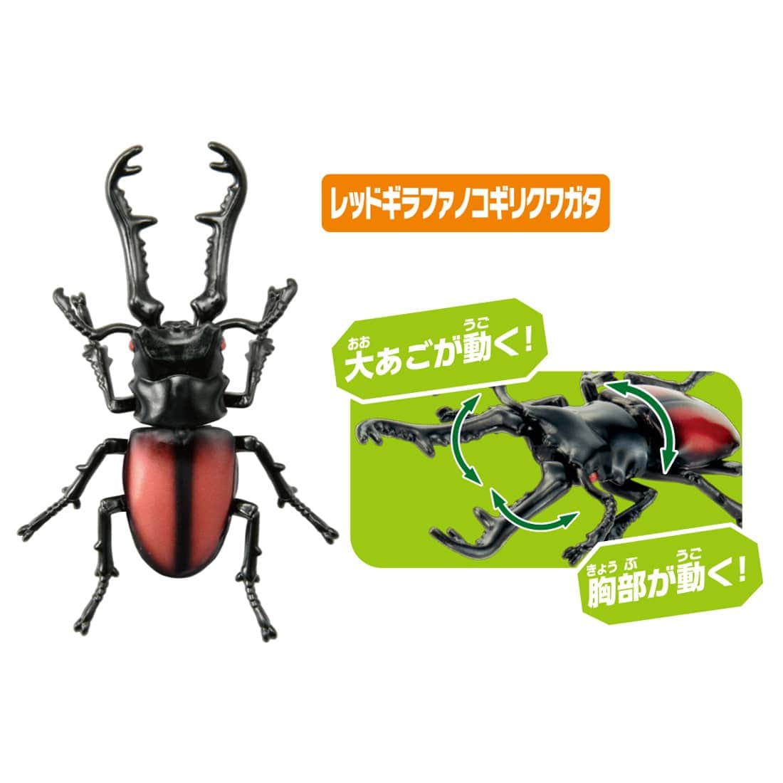 アニア AA-05 世界の昆虫王者セット|アニア アニマルアドベンチャー アニア AA-05 世界の昆虫王者セット|アニア アニマルアドベンチャー