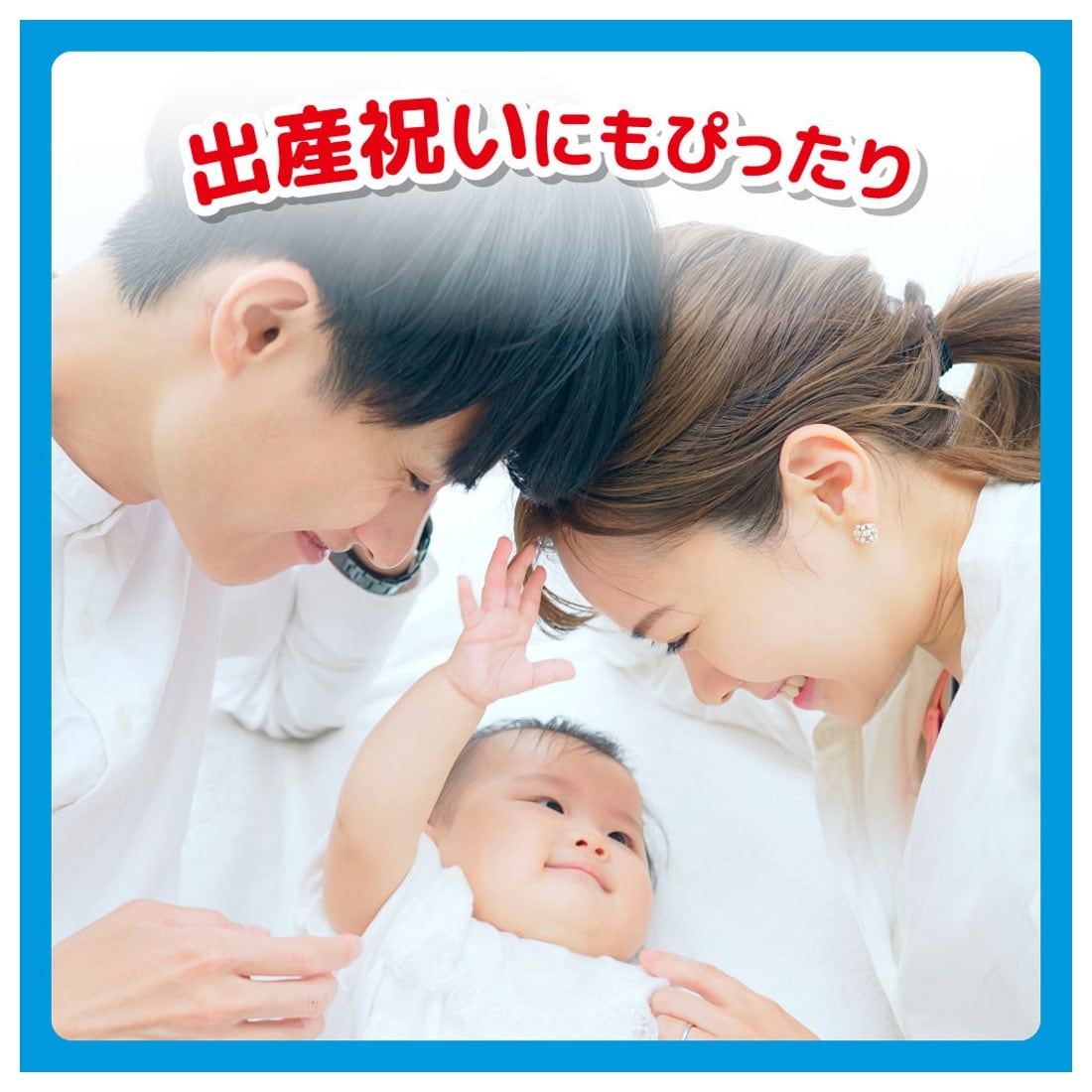 �}�C�}���I �ӂ���~�j�����[ ������p���\��