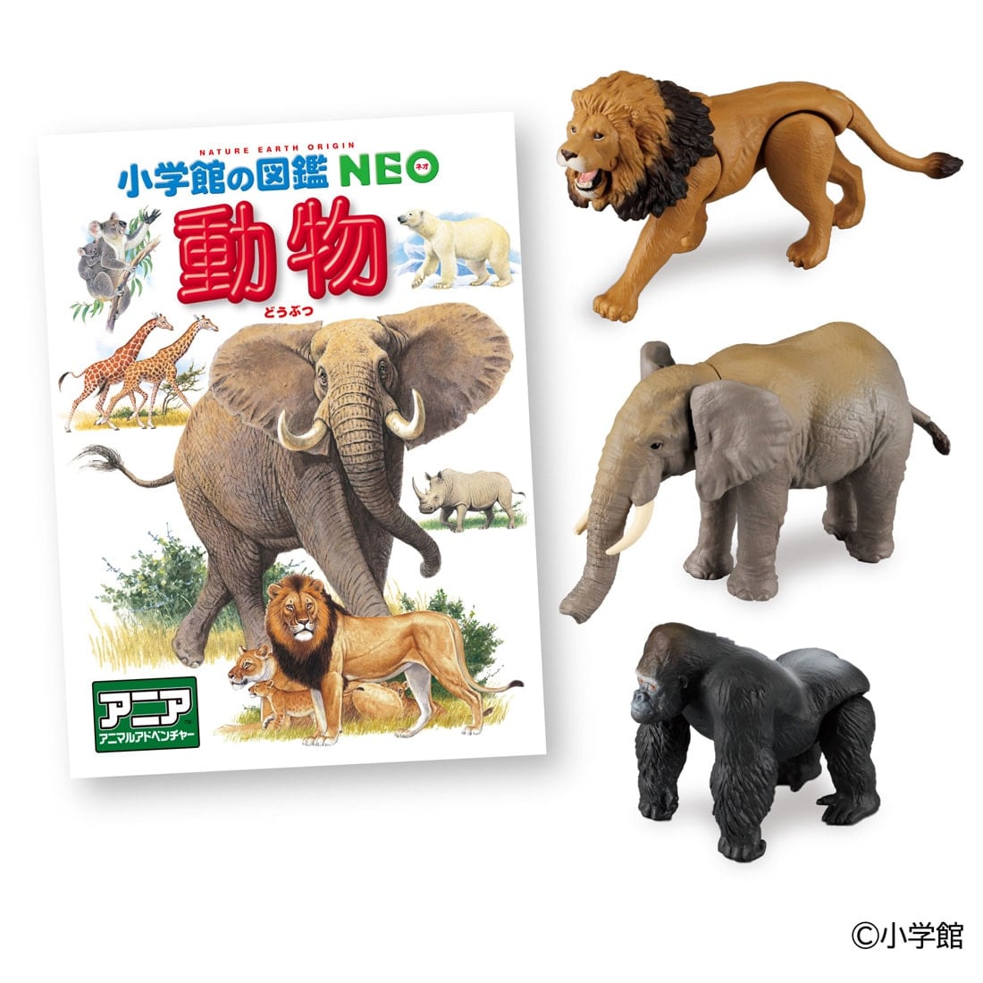 �A�j�A ���w�ق̐}��NEO ���� �~�j�}�ӕt��