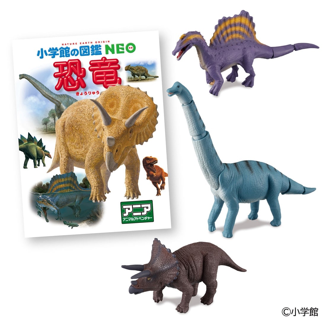 �A�j�A ���w�ق̐}��NEO ���� �~�j�}�ӕt��