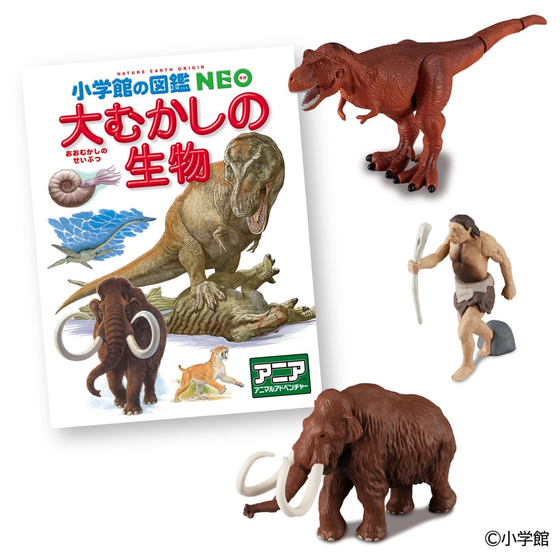 �A�j�A ���w�ق̐}��NEO ��ނ����̐��� �~�j�}�ӕt��