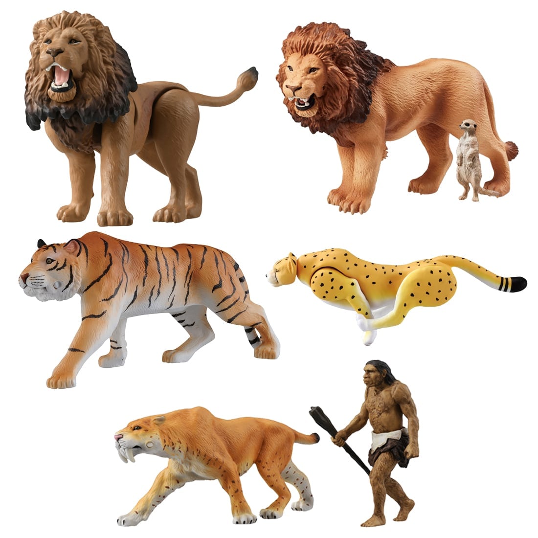 アニア ネコ科あつまれ セット