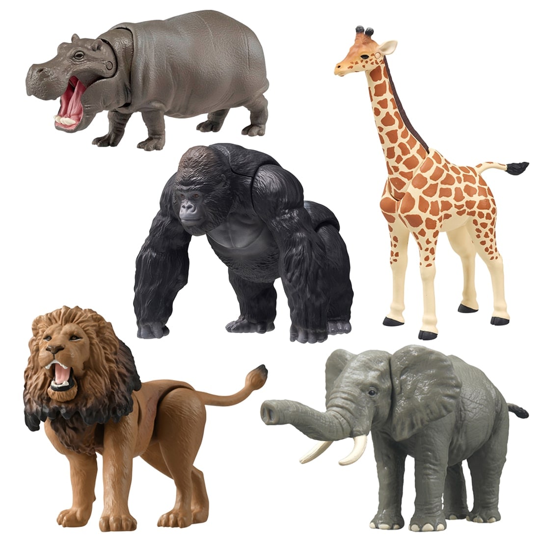 アニア ジャングル探検セット