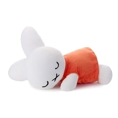 u[i ₷th 傫ȃbNXTCYʂ iC`F