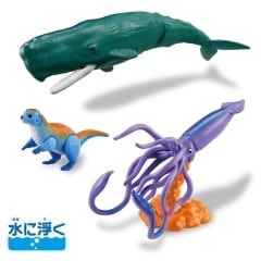 冒険大陸 アニアキングダム ルッタと海の決戦セット(ドラゴン島Ver.)