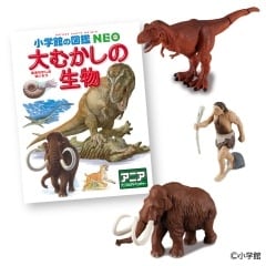 �A�j�A ���w�ق̐}��NEO ��ނ����̐��� �~�j�}�ӕt��