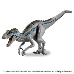 �A�j�A �W�����V�b�N�E���[���h �A���C�u �C���h���v�g��(��񐢑�)