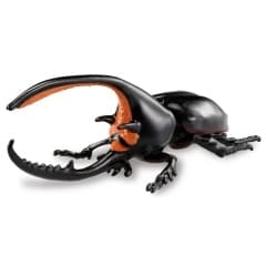 アニア AL−39 ネプチューンオオカブト