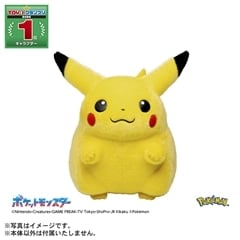 ポケットモンスター ポケモン30周年記念 おかえり!ピカチュウ1/1