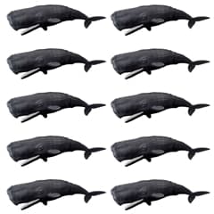 アニア　ＡＬ−３４　マッコウクジラ（水に浮くVer.） 10体セット