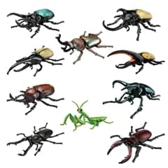 �A�j�A �������܂�Z�b�g