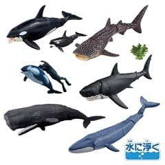 アニア 群れ界隈アニア再現セット(哺乳類と魚類の仲間見分け方Ver.)