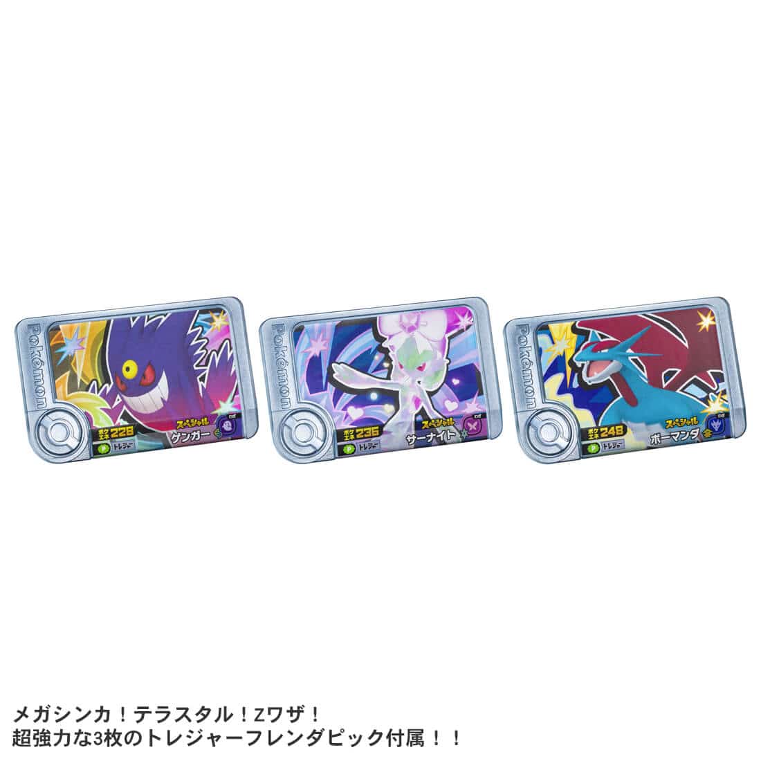 ポケモンフレンダ フレンダフォルダーセットDX｜ポケモン