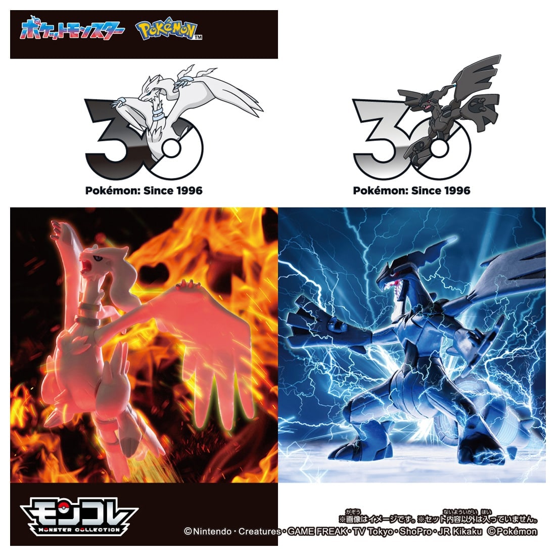 ポケットモンスター ポケモン30周年記念 モンコレ伝説セット イッシュ地方