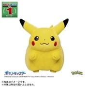 ポケットモンスター ポケモン30周年記念 おかえり！ピカチュウ1/1