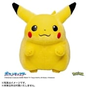 ポケットモンスター ポケモン30周年記念 おかえり!ピカチュウ1/1