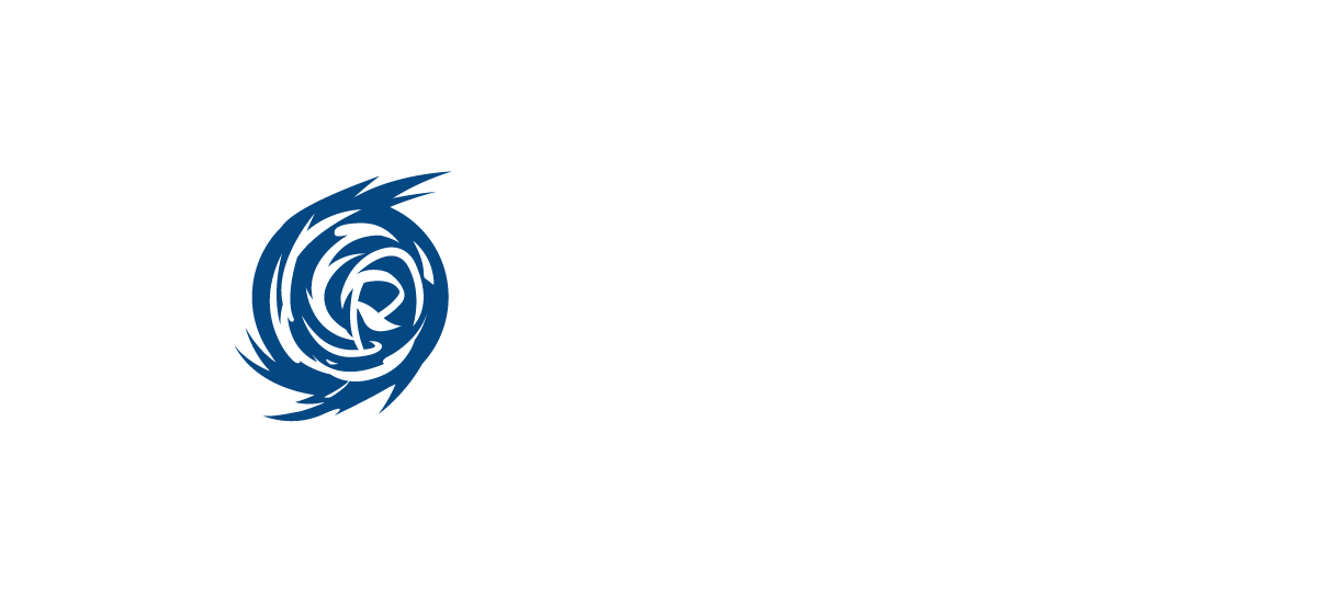 toyrise