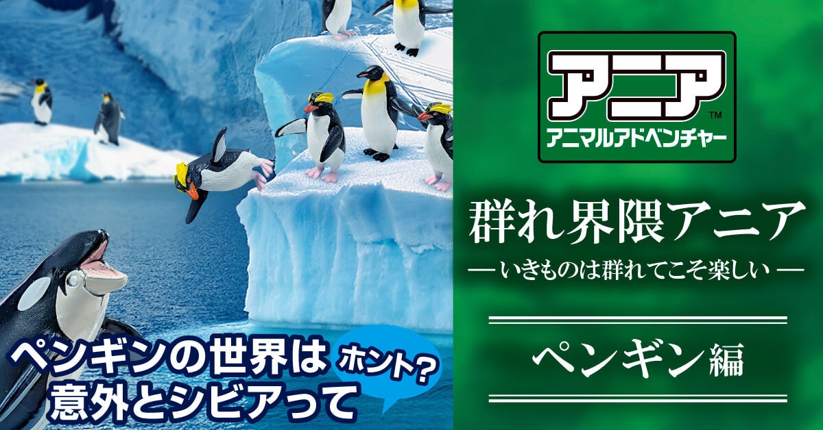 群れ特集アニア