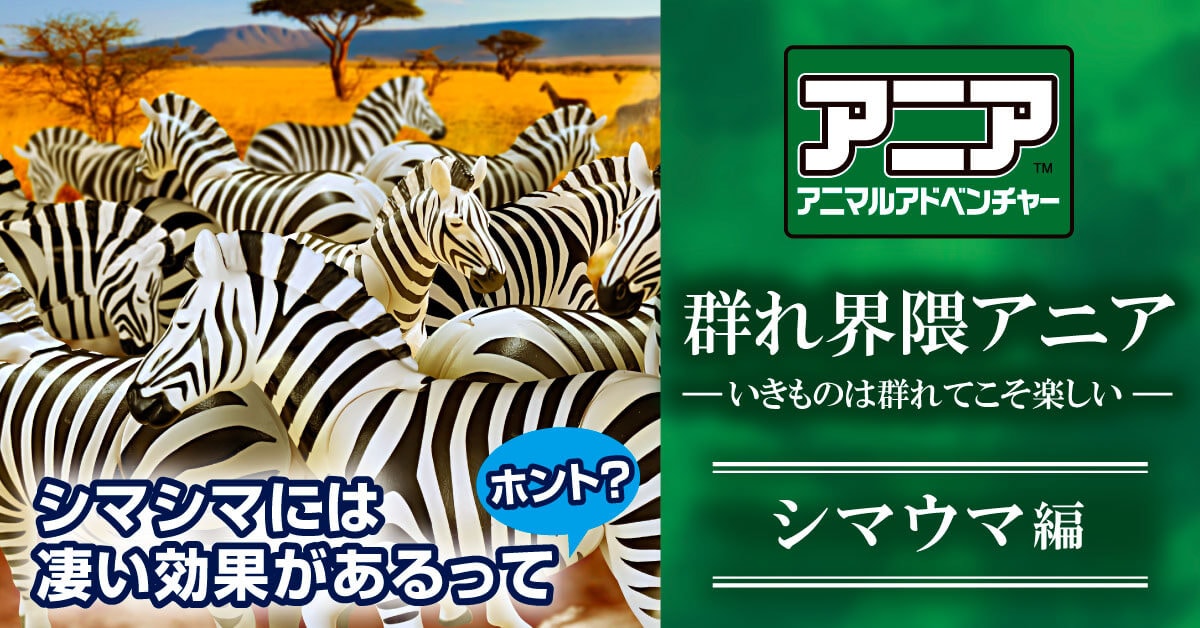 �A�j�A�Q����W�i�V�}�E�}Ver�j