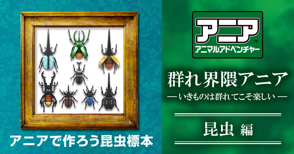 �A�j�A�Q����W�i����Ver�j