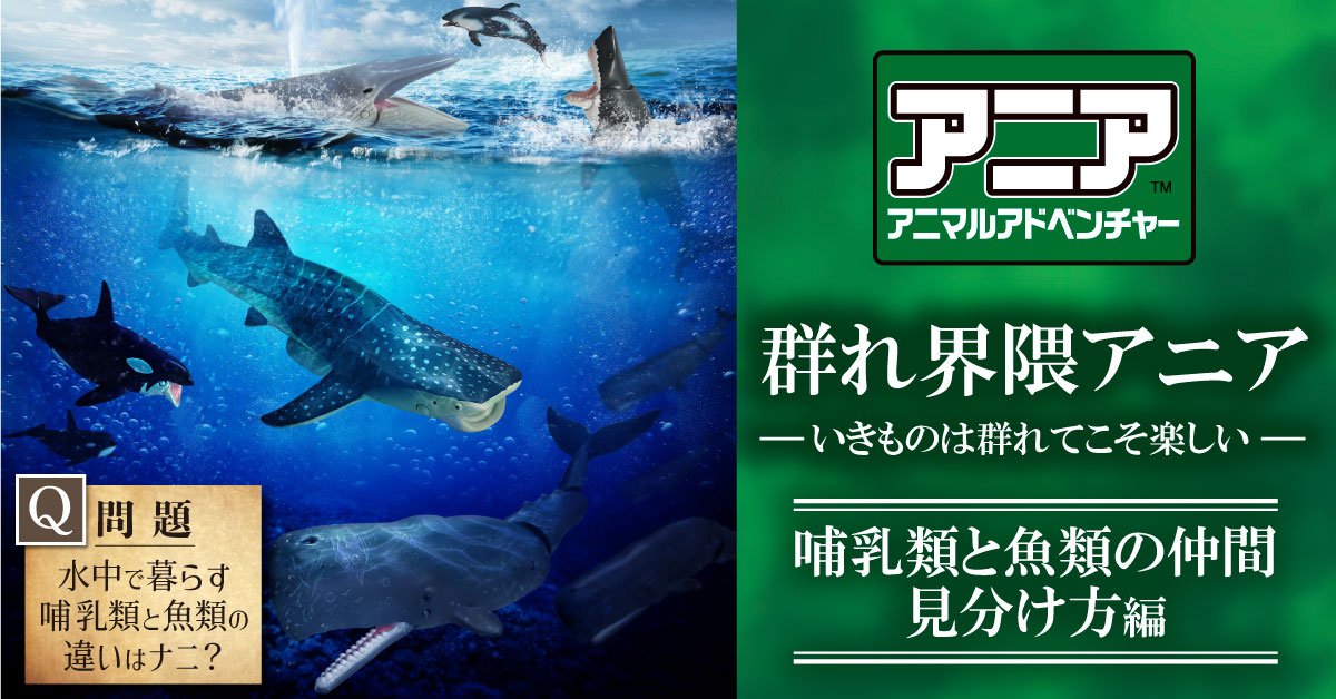 アニア群れ特集(哺乳類と魚類の仲間見分け方Ver.)