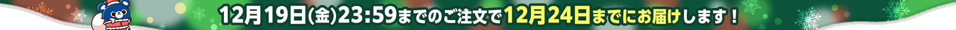 12月19日(金)23:59までのご注文で12月24日までにお届けします!