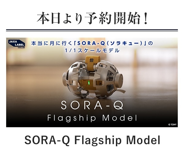 $BK\F|$h$jM=Ls3+;O(B