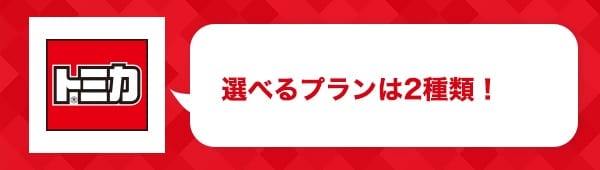 $BA*$Y$k%W%i%s$O(B2$B<oN`!*(B