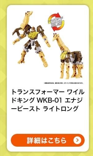 $B%H%i%s%9%U%)!<%^!<(B $B%o%$%k%I%-%s%0(B WKB-01 $B%(%J%8!<%S!<%9%H(B $B%i%$%H%m%s%0(B