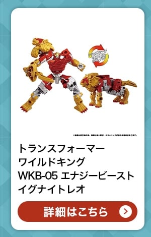 $B%H%i%s%9%U%)!<%^!<(B $B%o%$%k%I%-%s%0(B WKB-05 $B%(%J%8!<%S!<%9%H(B $B%$%0%J%$%H%l%*(B