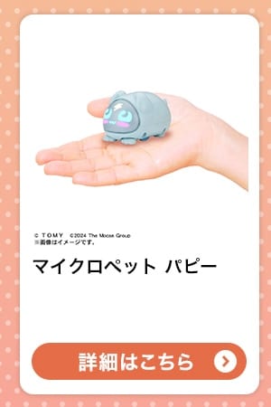 $B%^%$%/%m%Z%C%H(B $B%Q%T!<(B